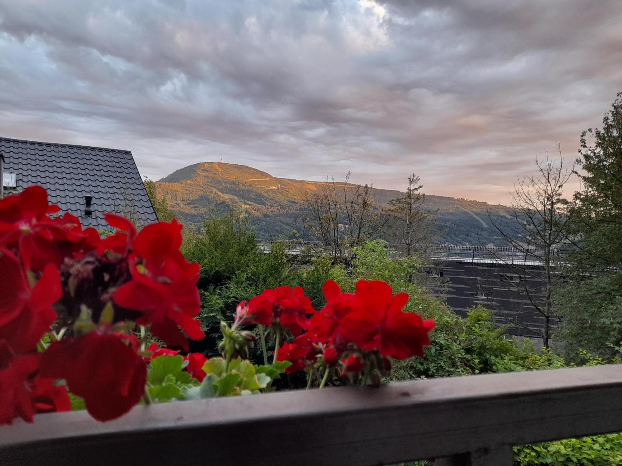 Willa Pod Orlem Szczyrk Esterno foto